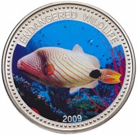 Купить Палау 1 доллар 2009 "Подводный мир - Вымирающие виды - Рыба type 2"