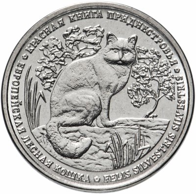 купить Приднестровье 1 рубль 2020 "Красная книга - Европейская лесная кошка"