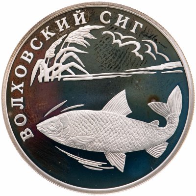 купить 1 рубль 2005 СПМД "Красная книга - волховский сиг"