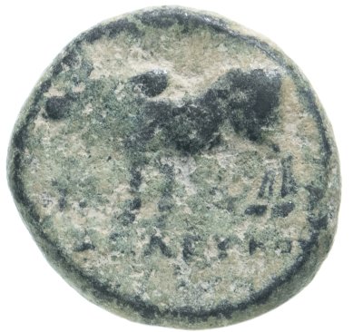 купить Государство Селевкидов, Селевк II Каллиник, 246-225 годы до Р.Х., AE16. Бык (Зебу)
