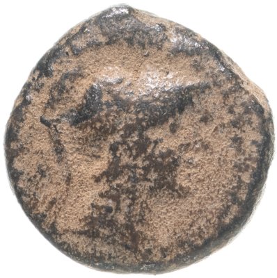 купить Селевкиды, Антиох VII Сидет, 138-129 годы до Р.Х., AE14. (Сова / Афина)