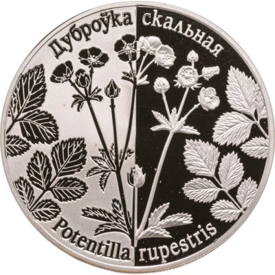 купить Беларусь 1 рубль 2017 "Возрожденные растения - Лапчатка скальная"