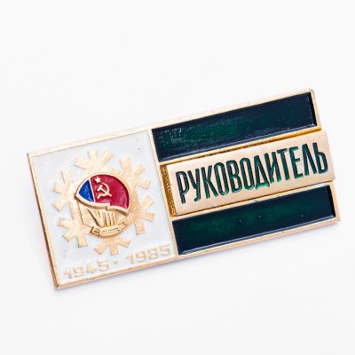 купить Знак VIII Зимняя Спартакиада народов СССР - Руководитель 1945 - 1985 (Разновидность случайная )