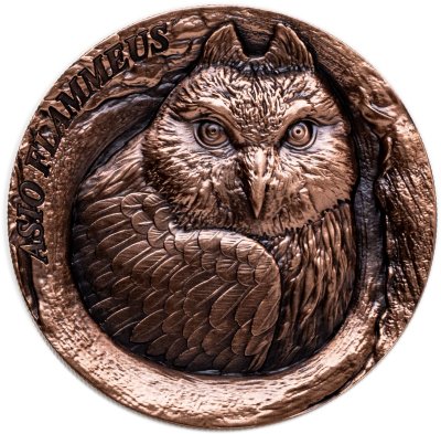 купить Самоа 25 центов 2025 "Болотная сова" в футляре с сертификатом