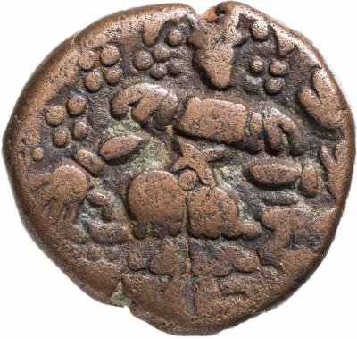 купить Королевство Утпала, рани Дидда, 979-1003 годы, Статер.
