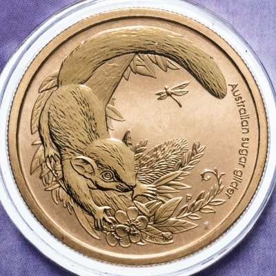 купить Австралия 1 доллар 2011 "Детёныши диких животных - Сахарная летяга" в конверте с маркой