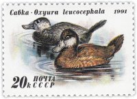 Купить 20 копеек 1991 "Утки: Савка"