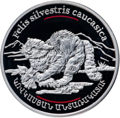 купить Армения 100 драмов 2006 кавказская лесная кошка