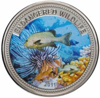Купить Палау 1 доллар 2011 "Подводный мир - Вымирающие виды - Рыба type 3"