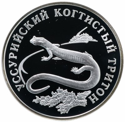купить 1 рубль 2006 СПМД "Красная книга - Уссурийский когтистый тритон"