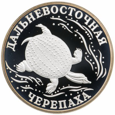 купить 1 рубль 2003 СПМД Дальневосточная черепаха