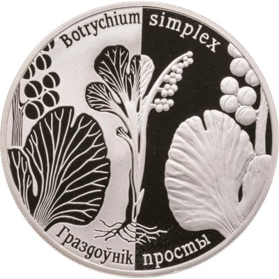 купить Беларусь 1 рубль 2014 Возрожденные растения - Гроздовник простой