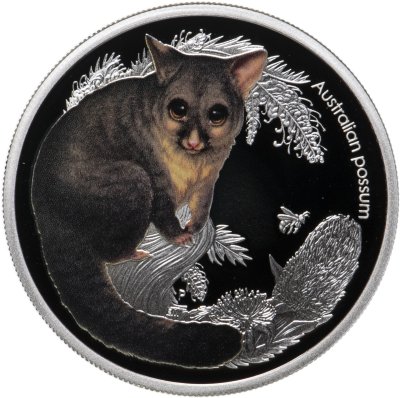 купить Австралия 50 центов 2017 Proof "Детеныши австралийский животных. Поссум"