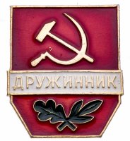 купить Знак "Дружинник. Тип 2", СССР, з-д "Победа", алюминий, 1960-1980 гг.