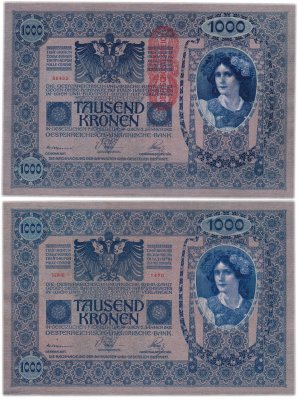 купить Австрия 1000 крон 1919 (надпечатка на 1000 кронах 1902) Pick 59