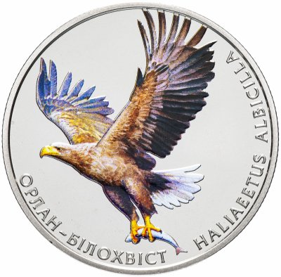 купить Украина 2 гривны 2019 "Орлан-белохвост (Haliaeetus albicilla)"