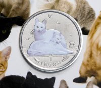купить Остров Мэн 1 крона 2011 "Ангорская кошка" цветная в буклете