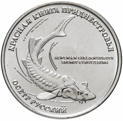 купить Приднестровье 1 рубль 2018 "Красная книга - Русский осётр"