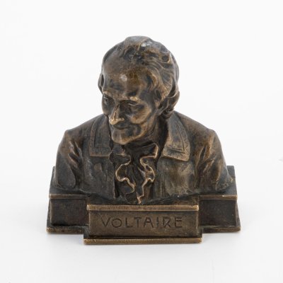 купить Бюст "Voltaire" ("Вольтер") по модели скульптора Ханса Мюллера (Hans Muller), бронза, литье, Австрия, 1900-1920 гг.