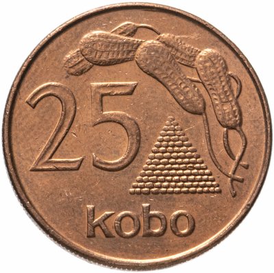 купить Нигерия 25 кобо (kobo) 1991