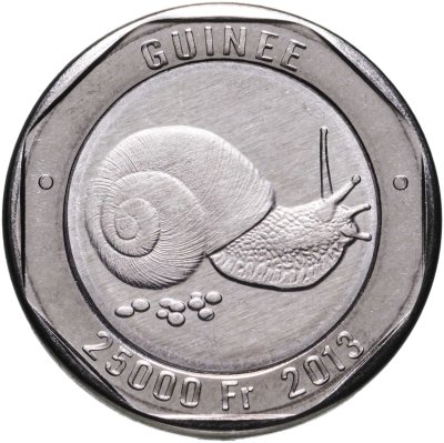 купить Гвинея 25000 франков (francs) 2013 Синергия