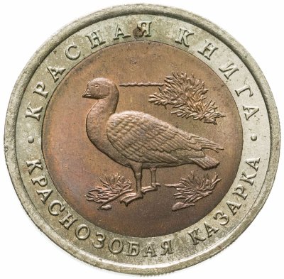 купить 10 рублей 1992 ЛМД краснозобая казарка