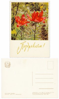 купить Открытка (открытое письмо) "Поздравляю!" фото В. Муравьева 1963