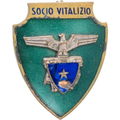 купить Нагрудный знак пожизненного члена альпинистского общества С.A.I. - "Club Alpino Italiano", Италия, 1990-2000 гг.