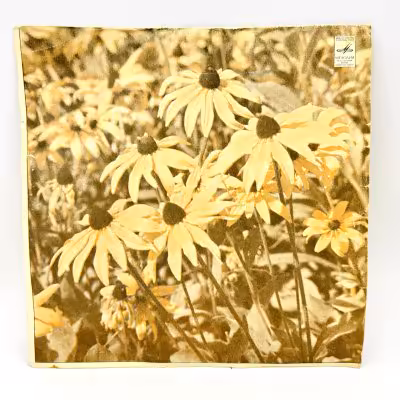 купить Грампластинка "Лирическое настроение", LP (Long play), VG (Very good), композитный материал, картон, Всесоюзная фирма грампластинок «Мелодия», СССР, 1989 г.