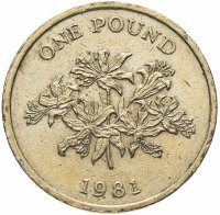 купить Гернси 1 фунт (pound) 1981