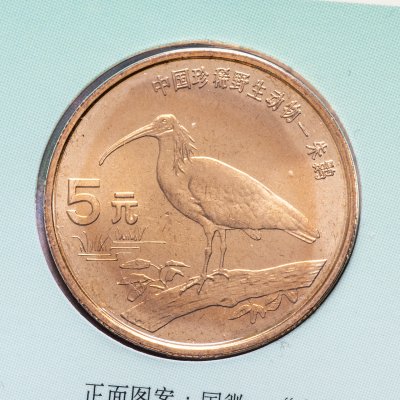 купить Китай 5 юаней (yuan) 1997 "Красная книга - Красноногий ибис" (в буклете)