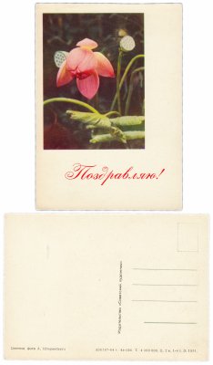 купить Открытка (открытое письмо) "Поздравляю!" фото А. Штеренберга 1964