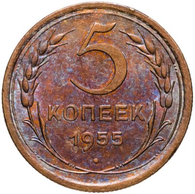 купить 5 копеек 1955
