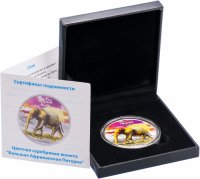 купить Демократическая Республика Конго 240 франков 2008 UNC "Большая африканская пятерка: слон" в капсуле и футляре с сертификатом