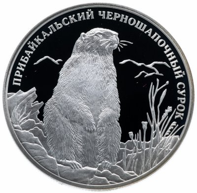 купить 2 рубля 2008 СПМД "Красная книга: прибайкальский черношапочный сурок"