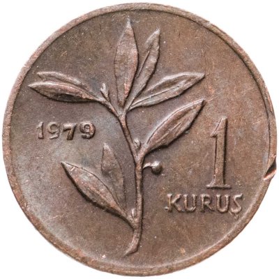 купить Турция 1 куруш (kurus) 1979 "ФАО - Планирование семьи"