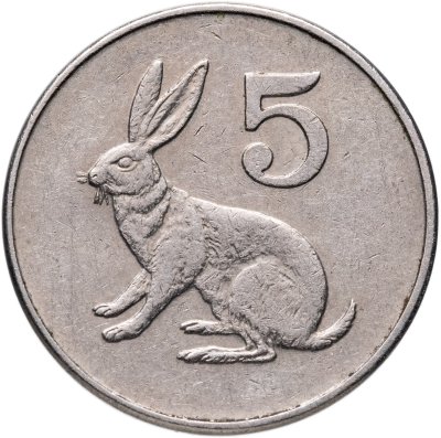 купить Зимбабве 5 центов (cents) 1988