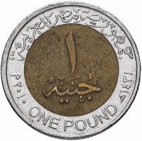 Купить Египет 1 фунт (pound) 2005-2011, случайная дата