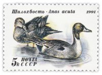 Купить 5 копеек 1991 "Утки: Шилохвость"