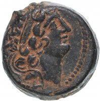 купить Селевкиды, Антиох VIII, 121-96 годы до Р.Х., АЕ19.