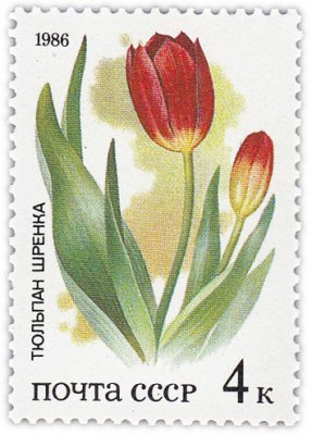 купить 4 копейки 1986 "Степные растения: Тюльпан Шренка"