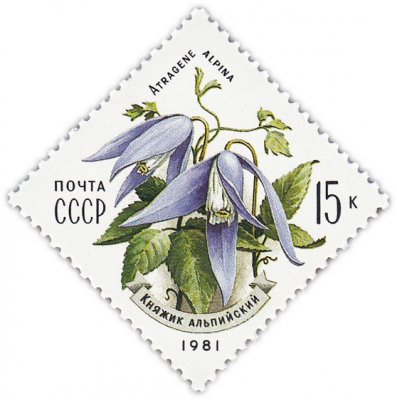 купить 15 копеек 1981 "Цветы Карпат: Альпийский княжик"