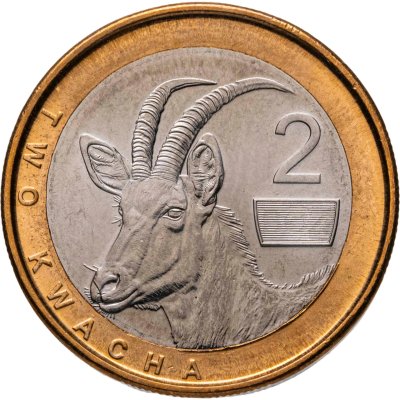 купить Замбия 2 квачи 2024