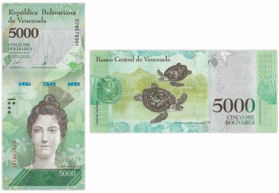 купить Венесуэла 5000 боливар 2016 (2017) (Pick 97с) 13.12.2017