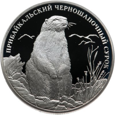 купить 2 рубля 2008 СПМД прибайкальский черношапочный сурок