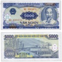 купить Вьетнам 5000 донг 1991 (Pick 108)