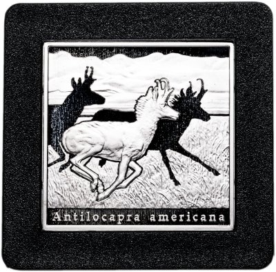 купить Остров Ниуэ 1 доллар 2010 Proof "Антилопа Вилорог"