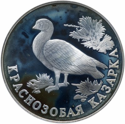 купить 1 рубль 1994 ЛМД "Красная книга - Краснозобая казарка"
