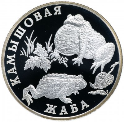 купить 1 рубль 2004 СПМД "Красная книга -Камышовая жаба"