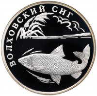 купить 1 рубль 2005 СПМД "Красная книга: волховский сиг"